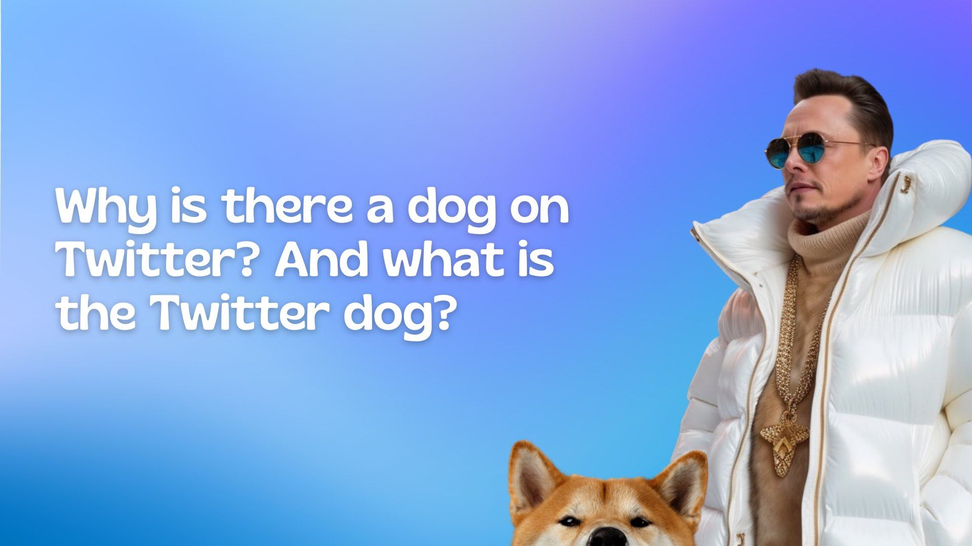 Why is there a dog on Twitter? And what is the Twitter dog? Why is there a dog on Twitter? And what is the Twitter dog?